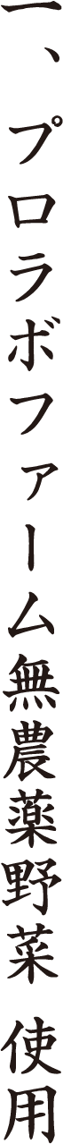 一、プロラボファーム無農薬野菜 使用